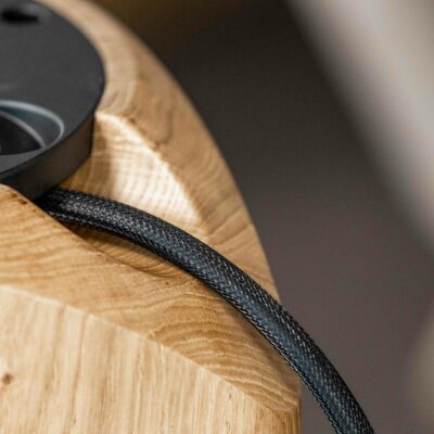 Lyngdorf Cue-100 pictures 24 Speaker cable outlet3.jpg