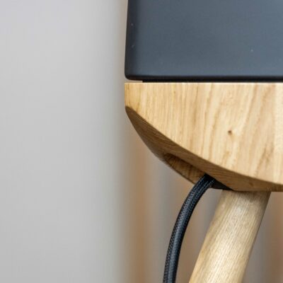 Lyngdorf Cue-100 pictures 22 Speaker cable outlet1.jpg