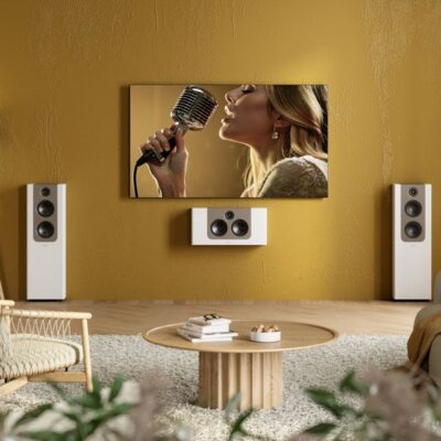 Environment_FR-2_and_LCR-2_White_Brown_Speakers_singer-on-tv.jpg