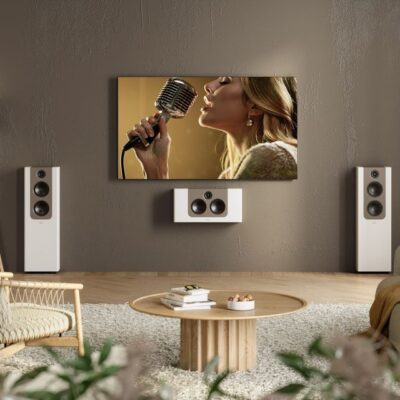 Environment_FR-2_and_LCR-2_White_Brown_Speakers_brown_wall_singer-on-tv.jpg