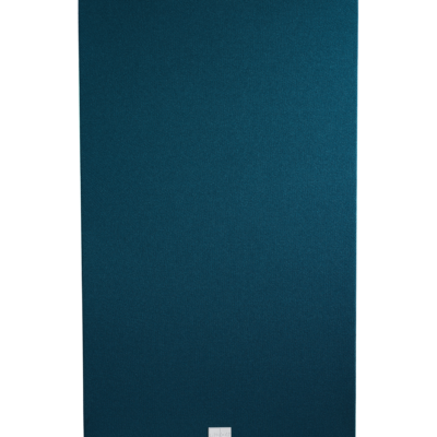 Lyngdorf FR-1 pictures 8 Blue grill _FR-1.png