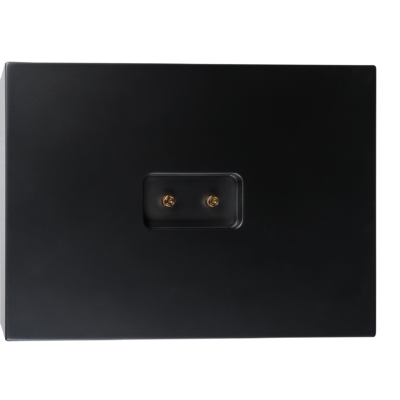 Lyngdorf CS-2 pictures 9 CS-2_back.png