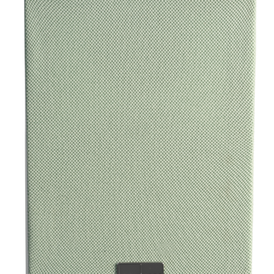 Lyngdorf MH-3 pictures 5 Green grill_MH-3.png